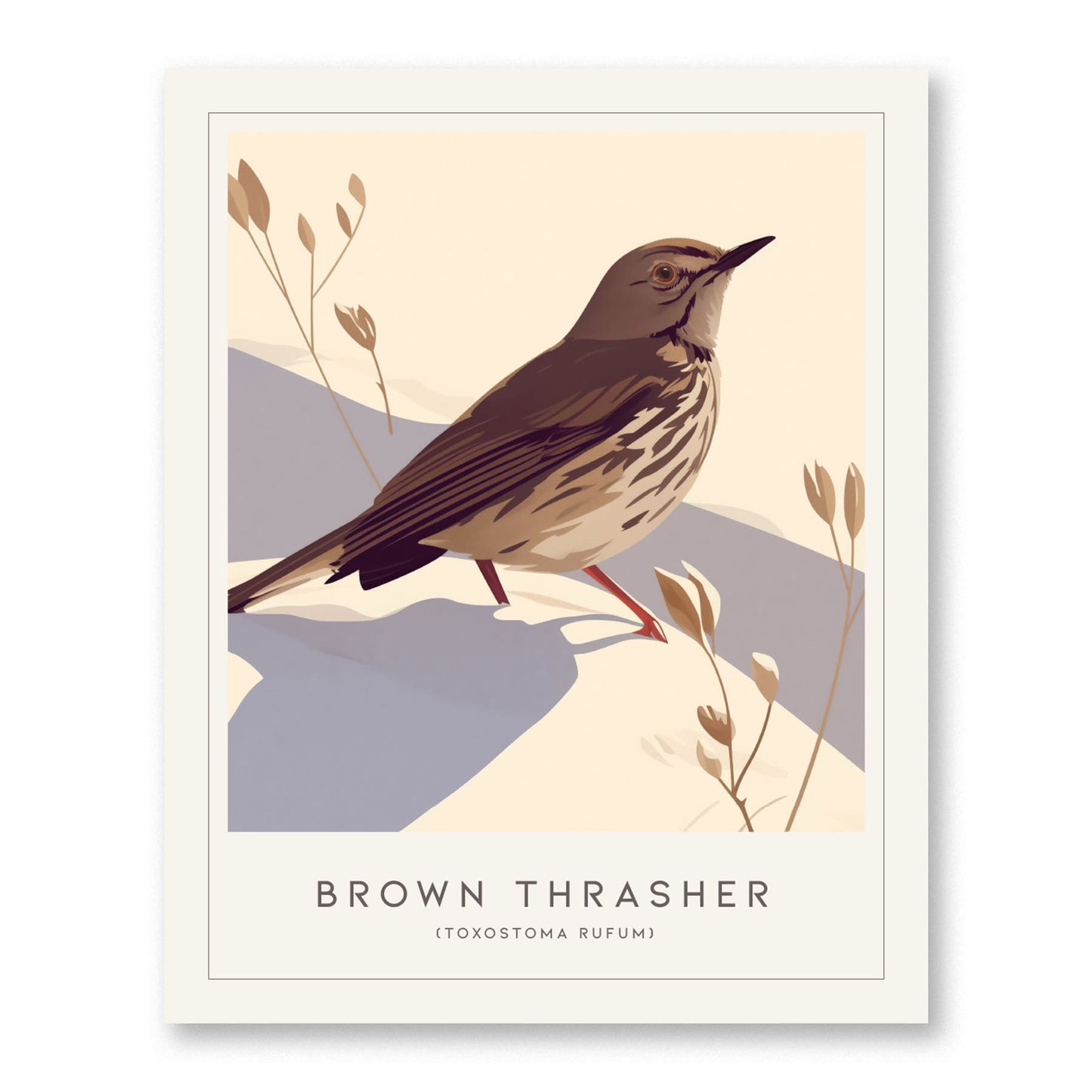 Brown Thrasher Songbird Modern Framed Poster | Minimalist Bird Illustration Wall Art | Nature Lover Farm House Cottagecore Home Decor Print