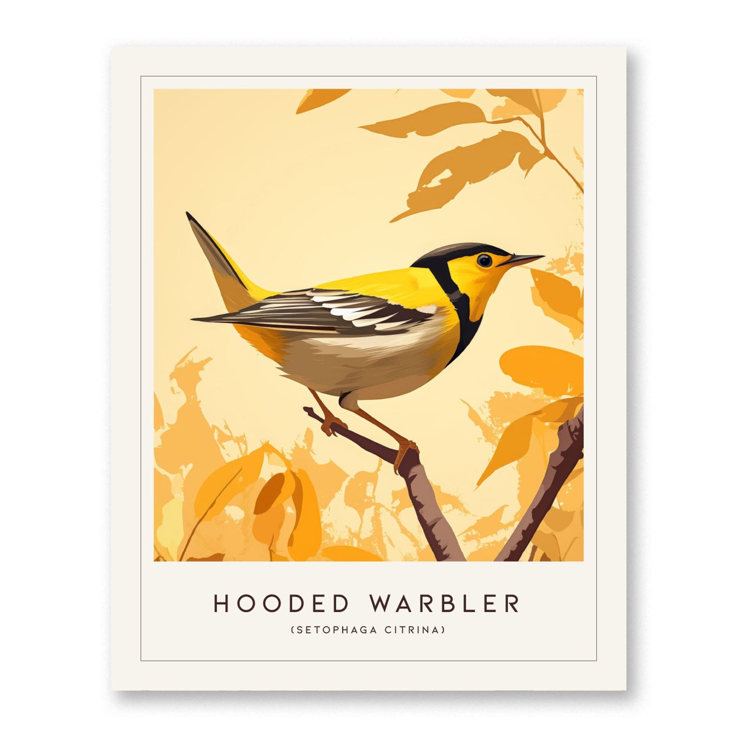 Hooded Warbler Bird Modern Framed Wall Art | Minimalist Nature Audubon Wildlife Poster | Cottagecore Farm House Style Decor Print