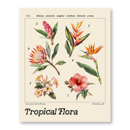 Botanical illustration poster featuring six tropical flowers: hibiscus, plumeria, zingiber, strelitzia, heliconia, and protea. Each flower is detailed with Latin names and vibrant colors.