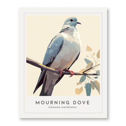 Mourning Dove Poster | Tranquil Bird Wall Art Print
