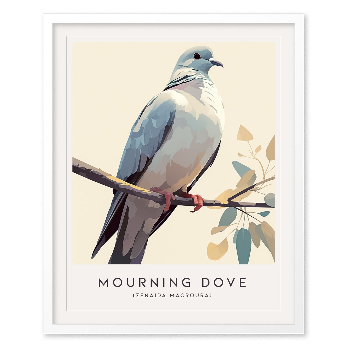 Mourning Dove Framed Bird Poster | Tranquil Avian Audubon Wall Art | Birdwatcher Nature Lover Farm House Cottagecore Home Decor Modern Print