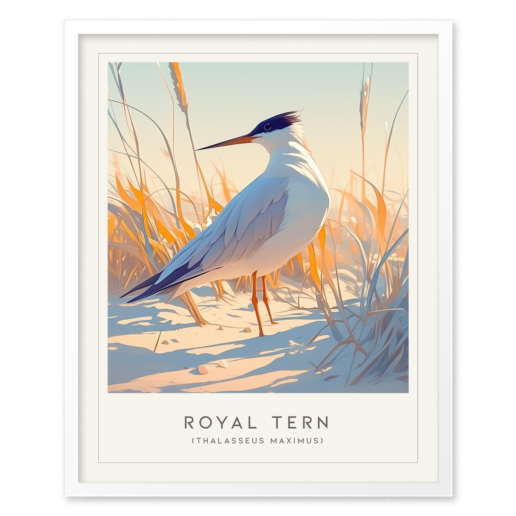 Royal Tern Framed Poster | Beach Bird Lover Modern Wall Art | Audubon Tropical Nature Print | Coastal Cottage Decor - Swell Scenes