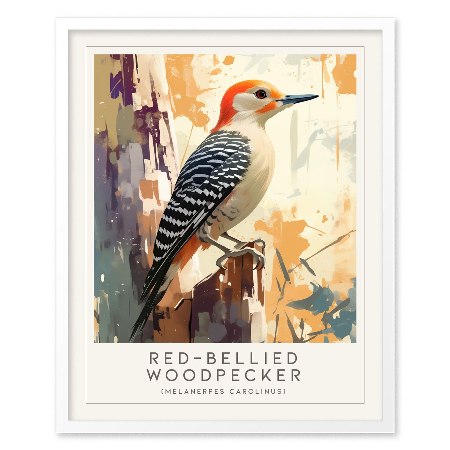 Red-bellied Woodpecker Bird Lover Modern Framed Poster | Cottagecore Audubon Wildlife Wall Art | Rustic Farmhouse Nature Decor Print