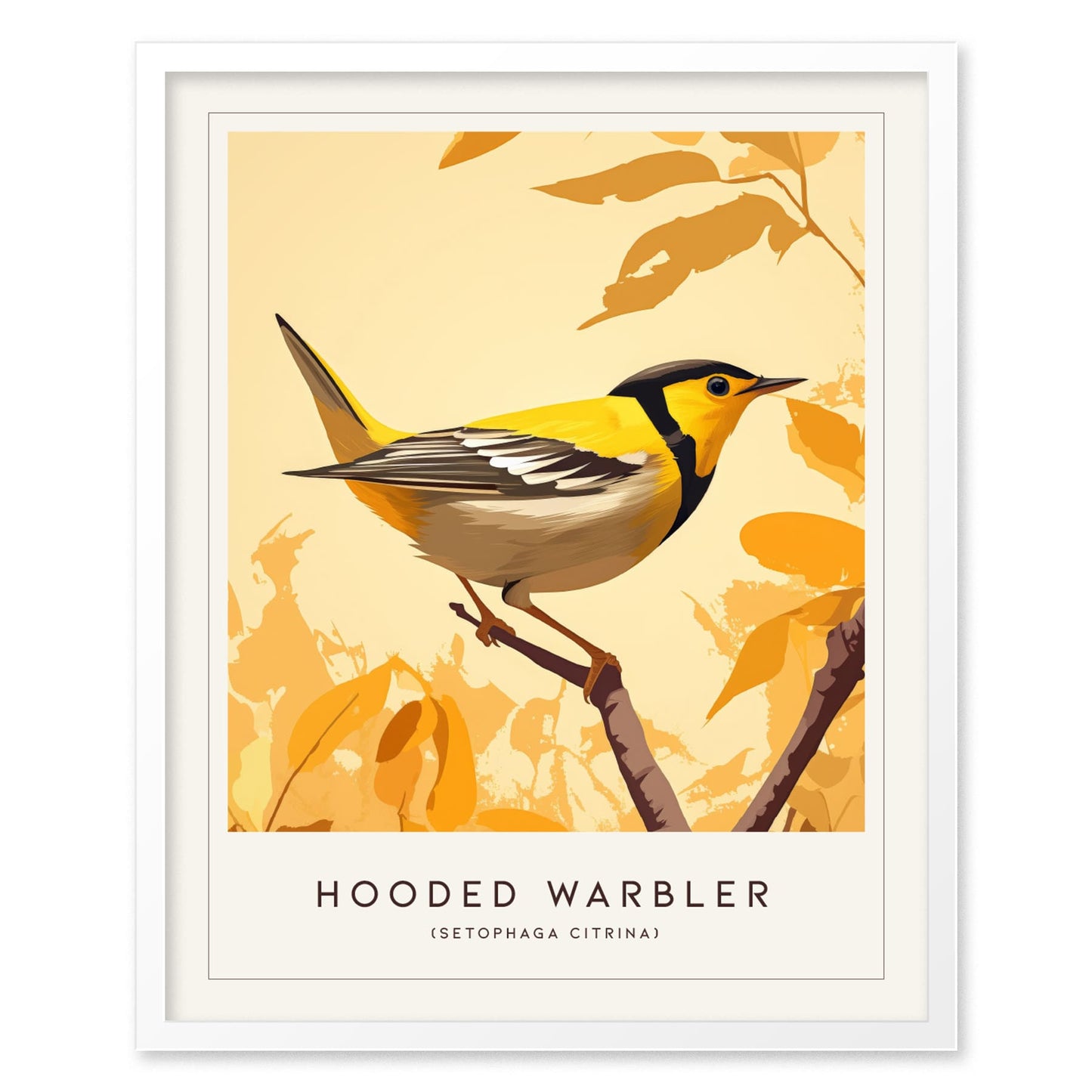 Hooded Warbler Bird Modern Framed Wall Art | Minimalist Nature Audubon Wildlife Poster | Cottagecore Farm House Style Decor Print