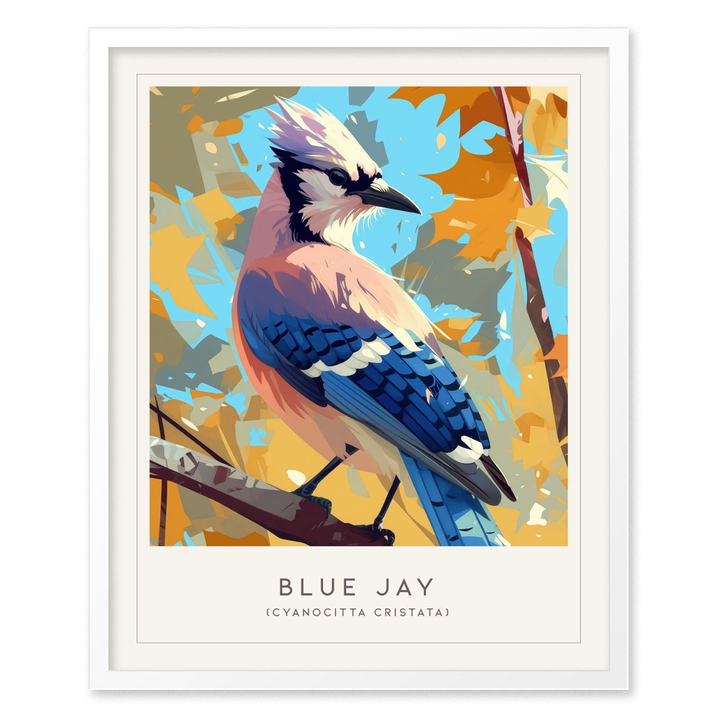 Blue Jay Songbird Modern Framed Wall Art | Cottagecore Minimalist Nature Wildlife Poster | Audubon Scientific Farm House Decor Print