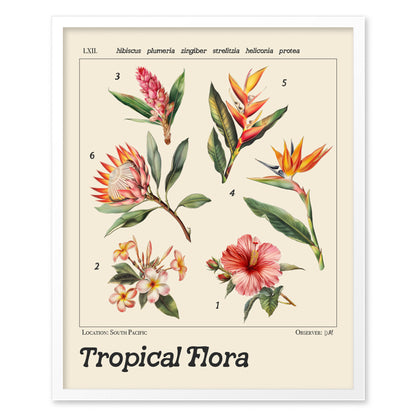 A vintage-style botanical illustration poster featuring six tropical flowers, including hibiscus, plumeria, and bird of paradise, with detailed Latin names on a beige background.