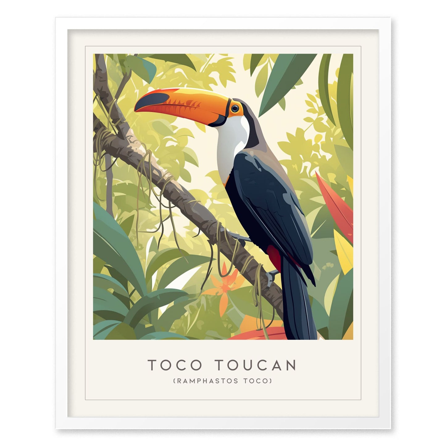 Toco Toucan Framed Poster | Tropical Bird Lover Modern Wall Art | South America Nature Print | Rainforest Decor