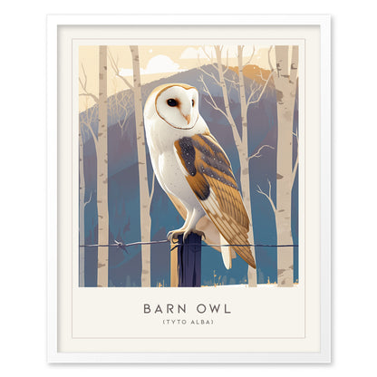 Barn Owl Audubon Print | Bird Lover Wildlife Wall Art | Framed or Unframed