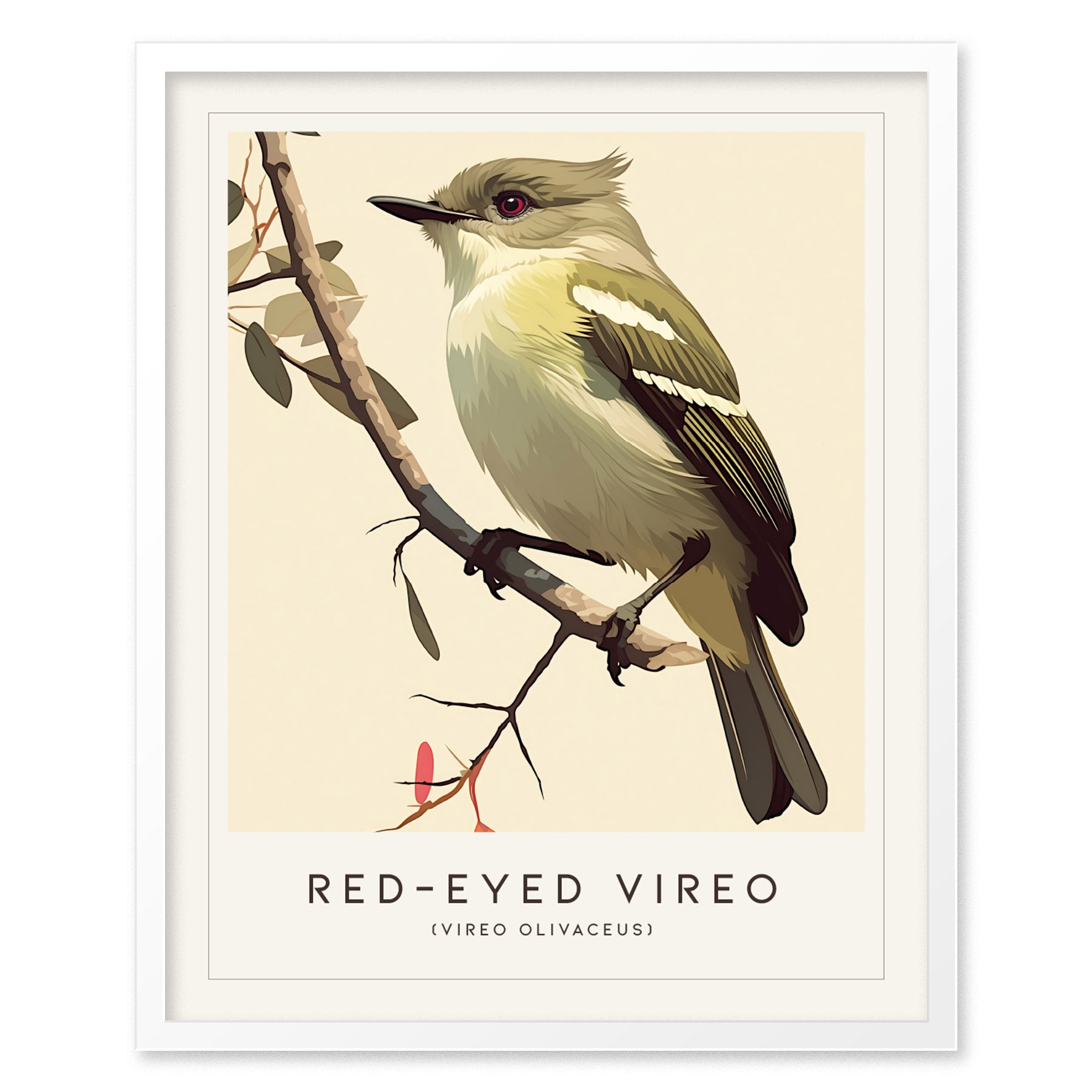 Red-Eyed Vireo Poster | Forest Songbird Wall Art