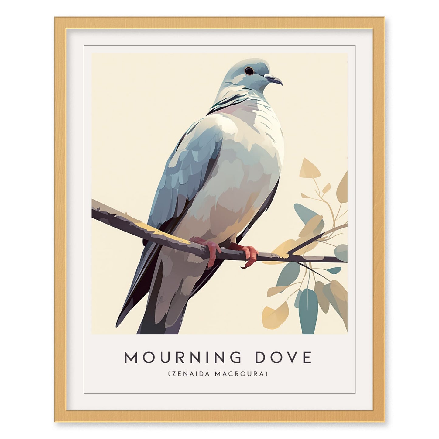 Mourning Dove Framed Bird Poster | Tranquil Avian Audubon Wall Art | Birdwatcher Nature Lover Farm House Cottagecore Home Decor Modern Print