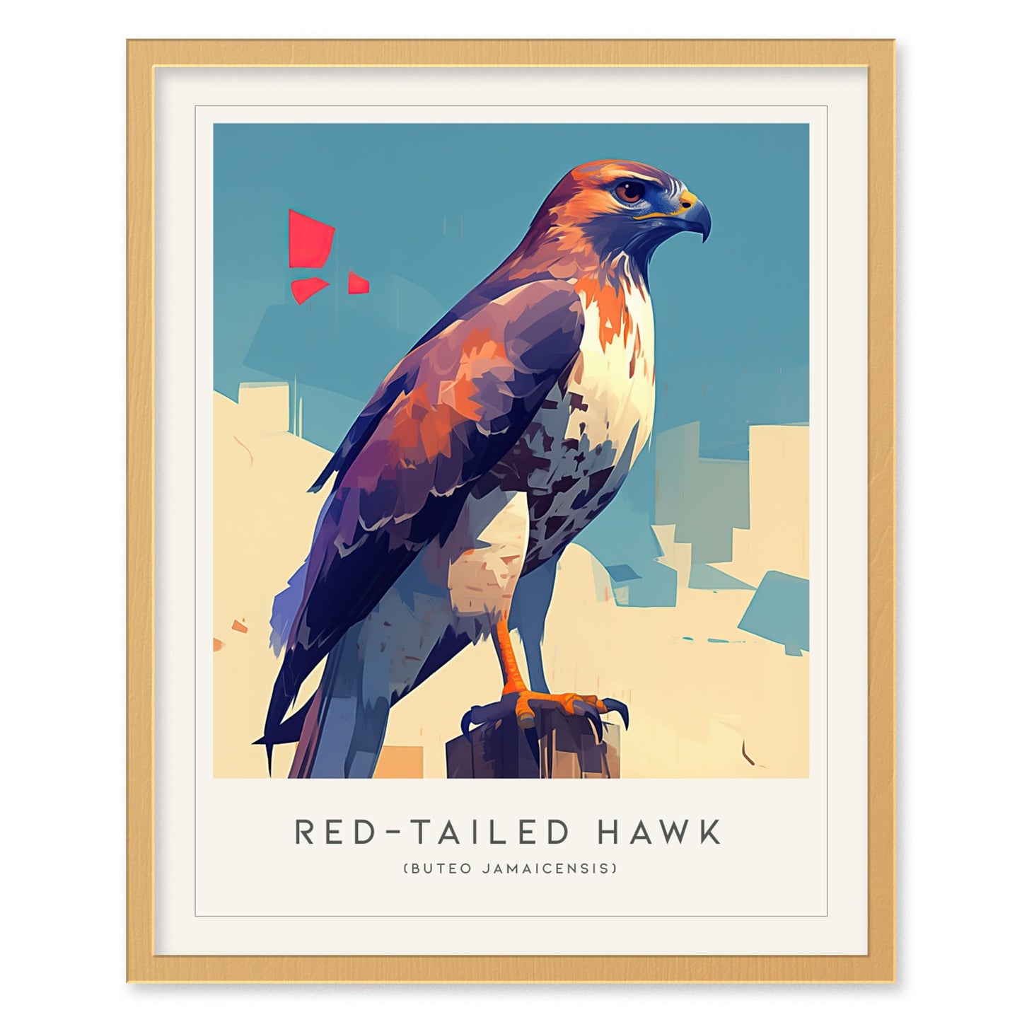 Red-tailed Hawk Modern Framed Wall Art | Cottagecore Minimalist Wildlife Poster | Red Tail Bird of Prey Audubon Print | Farm House Nature Decor