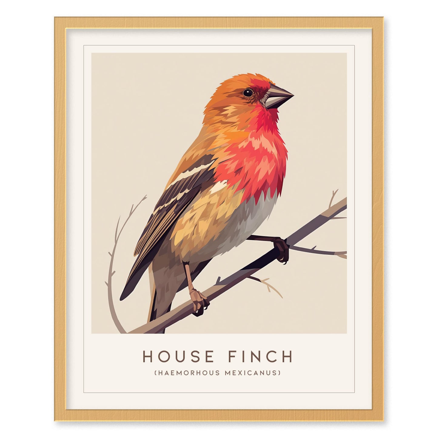 House Finch Framed Poster | Vibrant Bird Illustration Print | National Audubon Wildlife Wall Art | Bird Watcher Nature Lover Farm House Cottagecore Decor