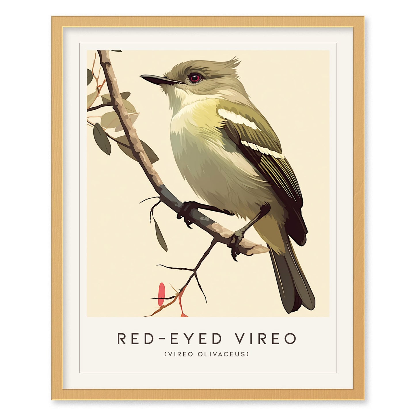 Red-eyed Vireo Framed Bird Poster | Audubon Avian Wall Art Print | Nature Lover Farm House Cottagecore Home Decor