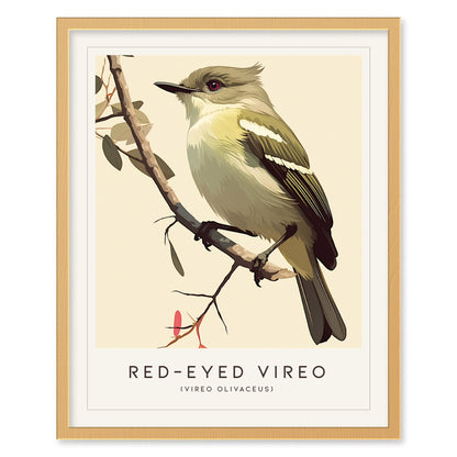 Red-eyed Vireo Framed Bird Poster | Audubon Avian Wall Art Print | Nature Lover Farm House Cottagecore Home Decor