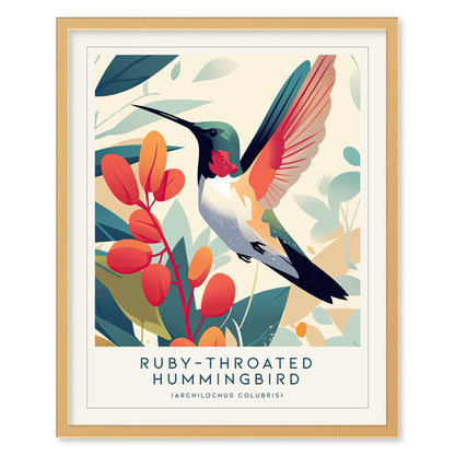 Ruby-throated Hummingbird Modern Framed Wall Art | Cottagecore Minimalist Nature Wildlife Bird Lover Poster | Audubon Farm House Decor Print