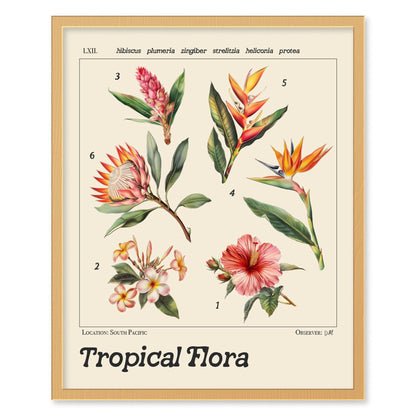 Tropical Flowers Vintage Style Scientific Illustration Framed Poster | Flower Wall Art Plumeria Floral Print | Beach House Hibiscus Home Decor