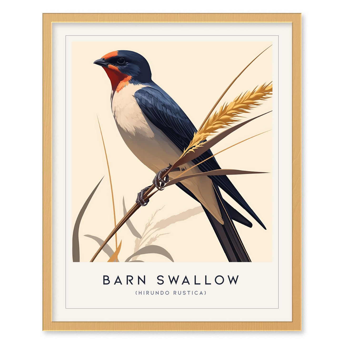 Barn Swallow Bird Framed Poster | Graceful Flight Audubon Fine Art | Cottagecore Wildlife Modern Design Print | Farm House Wall Decor