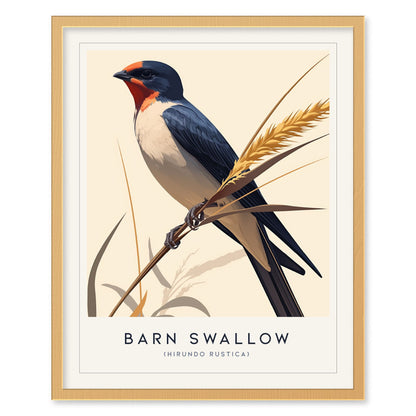 Barn Swallow Bird Framed Poster | Graceful Flight Audubon Fine Art | Cottagecore Wildlife Modern Design Print | Farm House Wall Decor