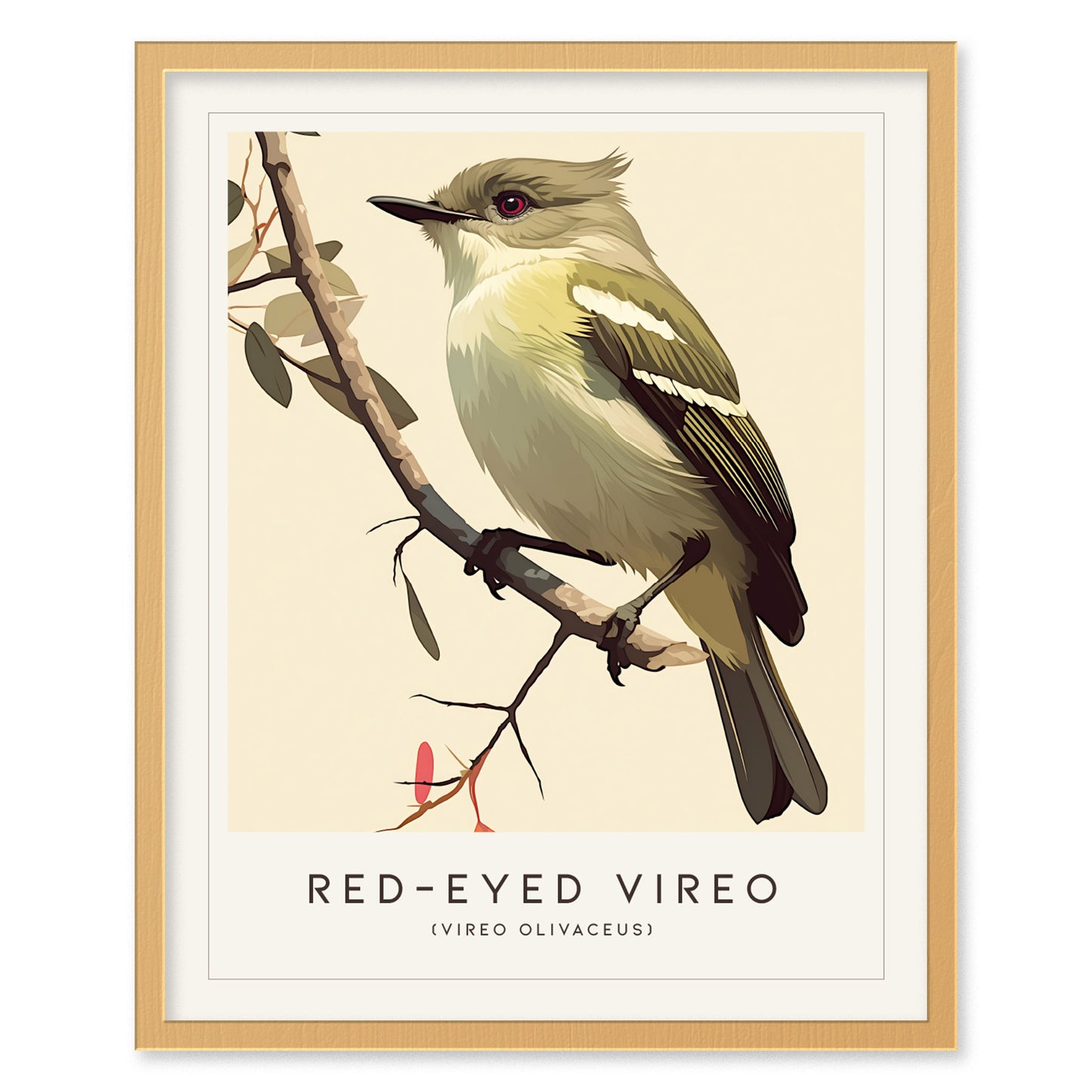 Red-Eyed Vireo Poster | Forest Songbird Wall Art