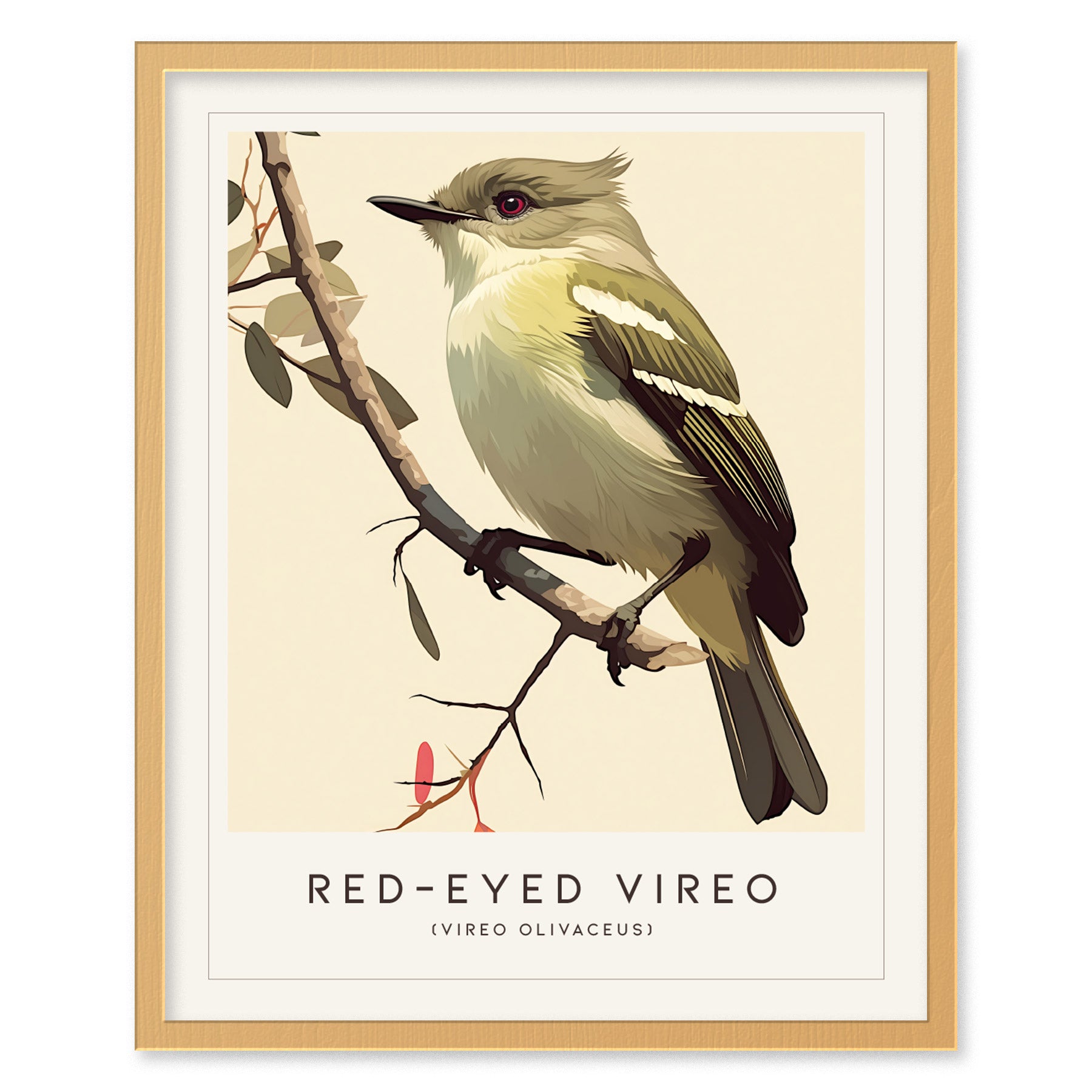 Red-Eyed Vireo Poster | Forest Songbird Wall Art