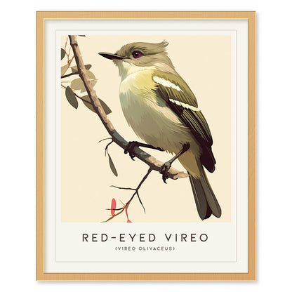 Red-Eyed Vireo Poster | Forest Songbird Wall Art