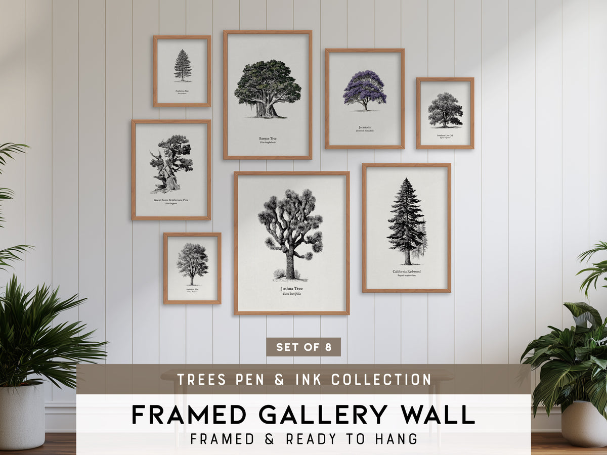 Trees Pen & Ink Gallery Wall | Great Basin Bristlecone Pine | Set of 8 Framed Prints