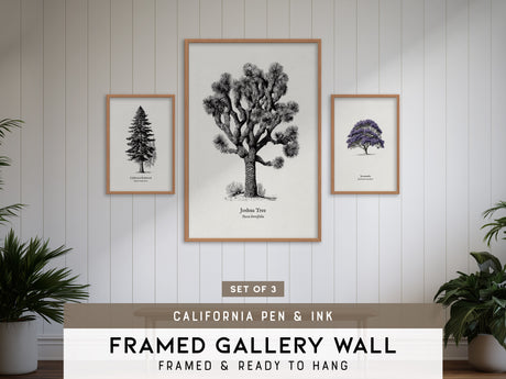 California Pen & Ink Gallery Wall | Joshua Tree & California Redwood | Set of 3 Framed Prints
