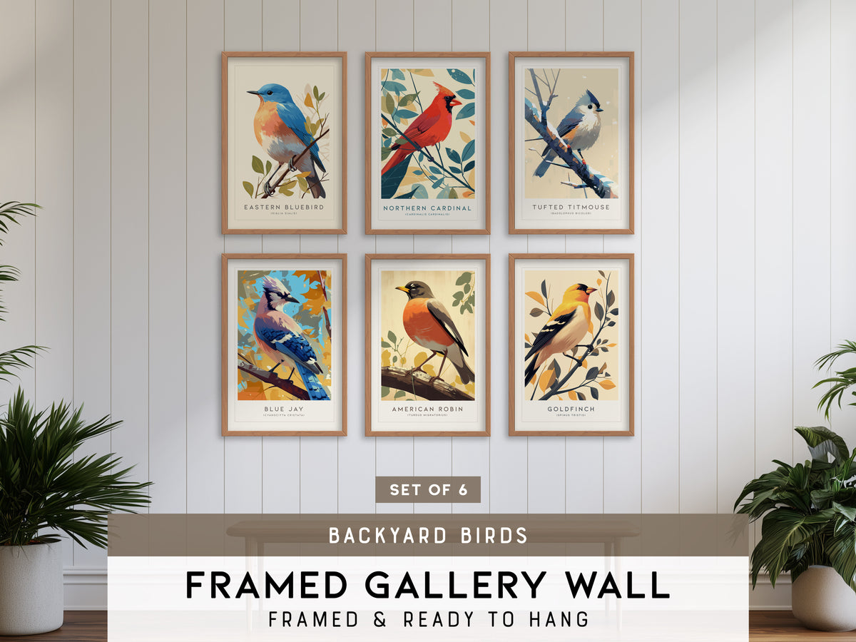 Backyard Songbirds Gallery Wall | Cardinal | Set of 6 Matching Framed Bird Prints