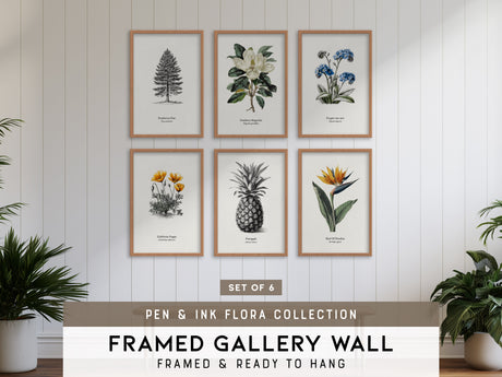 Pen & Ink Gallery Wall | Set of 6 | Pen and Ink Art | Gallery Wall Kit