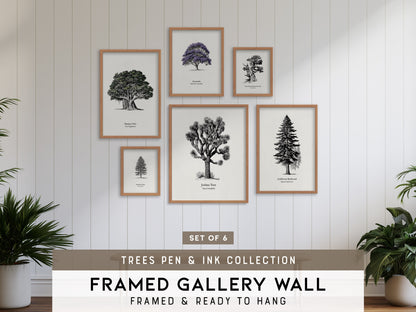 Trees Pen & Ink Gallery Wall | Jacaranda | Set of 6 Framed Prints