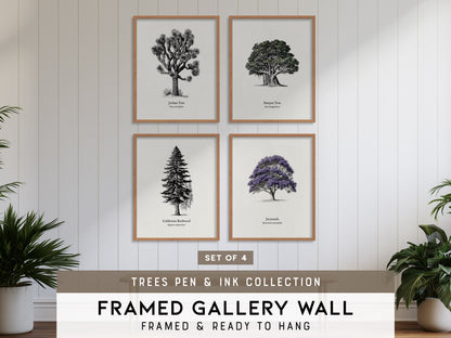 Trees Pen & Ink Gallery Wall | California Redwood & Jacaranda | Set of 4 Matching Framed Prints