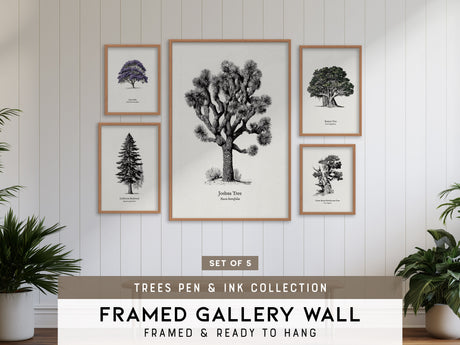 Trees Pen & Ink Gallery Wall | California Redwood & Jacaranda | Set of 5 Framed Prints
