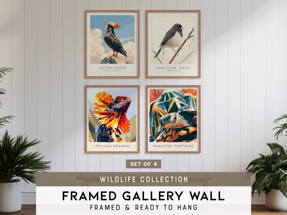 Wildlife Collection Gallery Wall | Set of 4 Matching Print Set | Framed Wall Decor