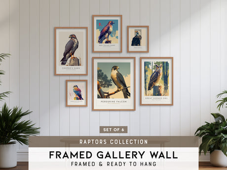 Birds of Prey - Raptors Gallery Wall | Red tailed Hawk | Set of 6 Framed Bird Prints