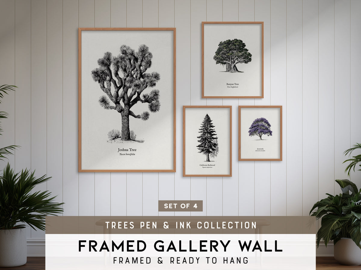 Trees Pen & Ink Gallery Wall | Banyan Tree & California Redwood | Set of 4 Framed Prints
