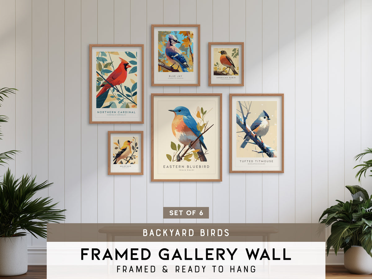 Backyard Songbirds Gallery Wall | Blue Jay & American Robin | Set of 6 Framed Bird Prints
