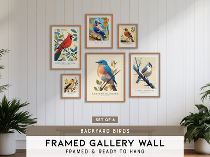 Backyard Songbirds Gallery Wall | Blue Jay & American Robin | Set of 6 Framed Bird Prints