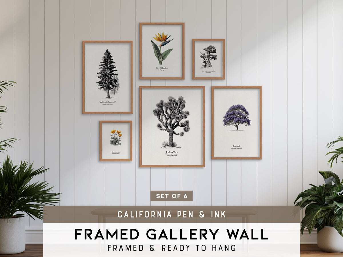 California Pen & Ink Gallery Wall | Bird Of Paradise | Set of 6 Framed Prints
