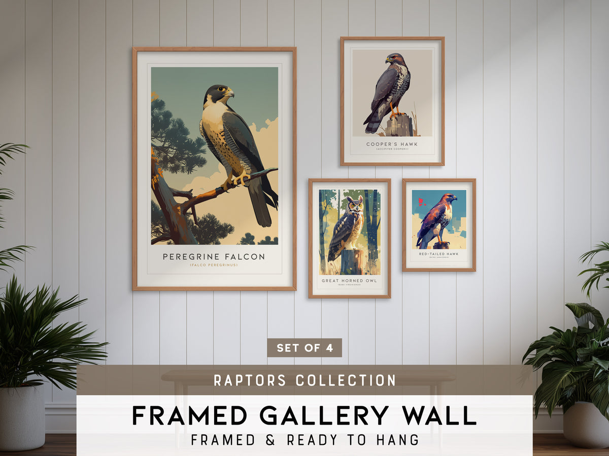 Birds of Prey - Raptors Gallery Wall | Cooper's Hawk | Set of 4 Framed Bird Prints