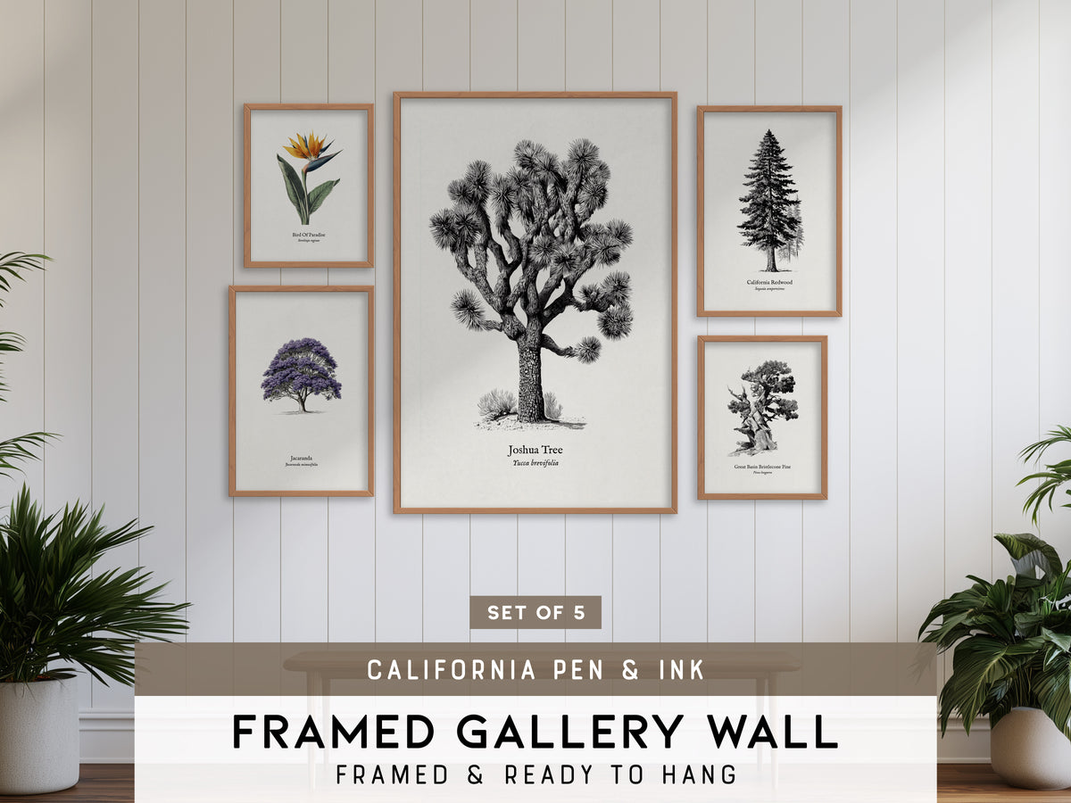 California Pen & Ink Gallery Wall | Jacaranda & Bird Of Paradise | Set of 5 Framed Prints