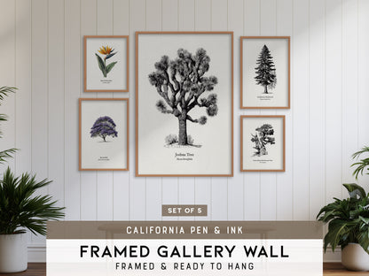 California Pen & Ink Gallery Wall | Jacaranda & Bird Of Paradise | Set of 5 Framed Prints