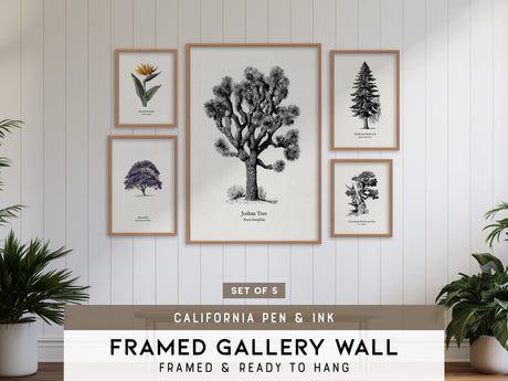 California Pen & Ink Gallery Wall | Jacaranda & Bird Of Paradise | Set of 5 Framed Prints