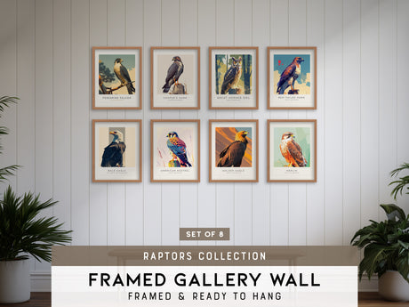 Birds of Prey - Raptors Gallery Wall | American Kestrel | Set of 8 Matching Framed Bird Prints
