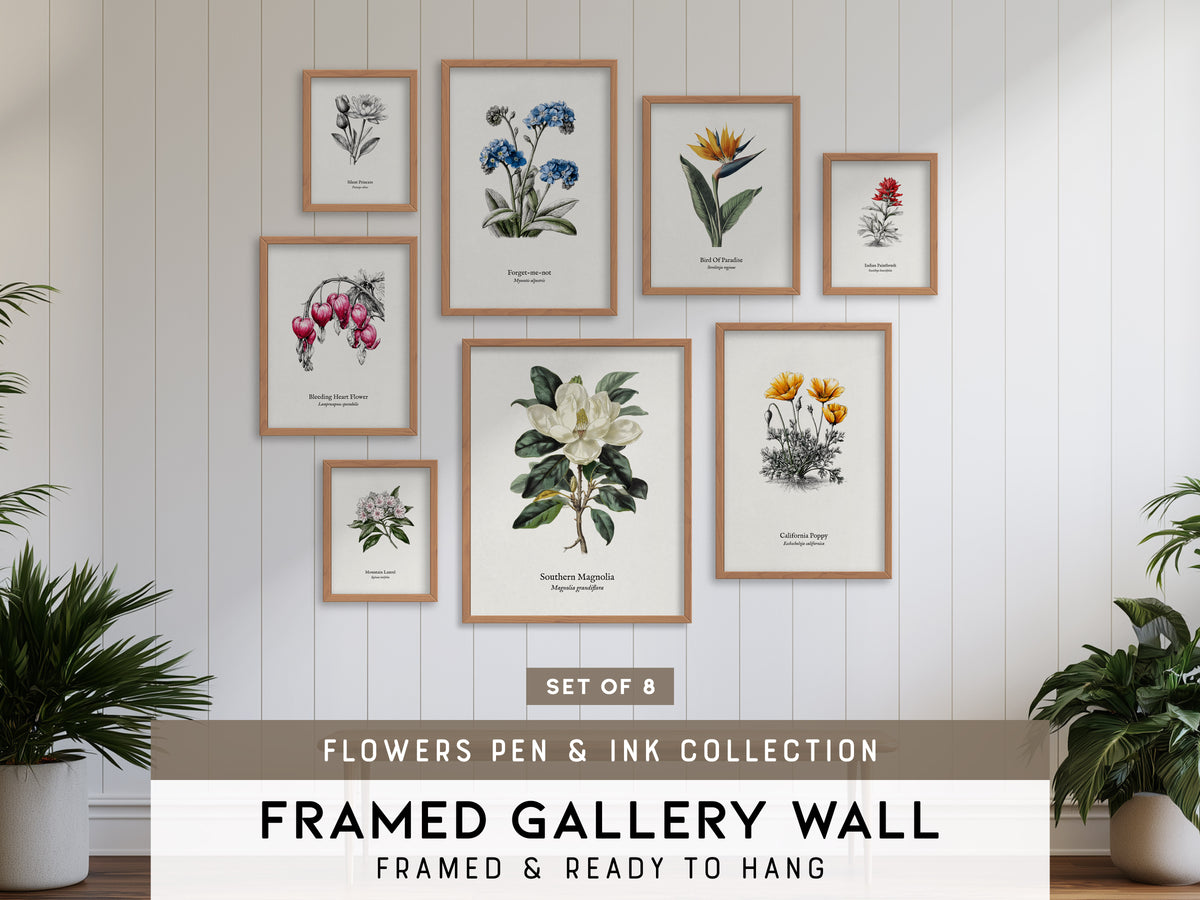 Flowers Pen & Ink Gallery Wall | Set of 8 | Botanical Prints | Large Wall Set