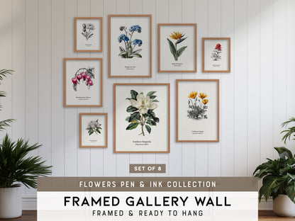 Flowers Pen & Ink Gallery Wall | Set of 8 | Botanical Prints | Large Wall Set