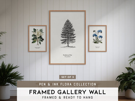 Pen & Ink Gallery Wall | Set of 3 | Pen and Ink Art | Housewarming Gift