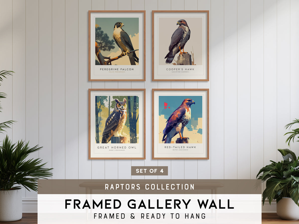 Birds of Prey - Raptors Gallery Wall | Great Horned Owl | Set of 4 Matching Framed Bird Prints