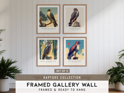 Birds of Prey - Raptors Gallery Wall | Great Horned Owl | Set of 4 Matching Framed Bird Prints
