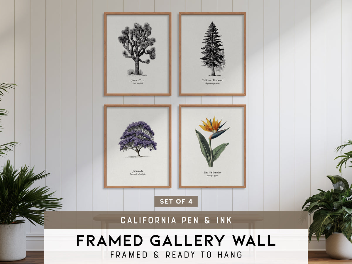 California Pen & Ink Gallery Wall | Jacaranda | Set of 4 Matching Framed Prints