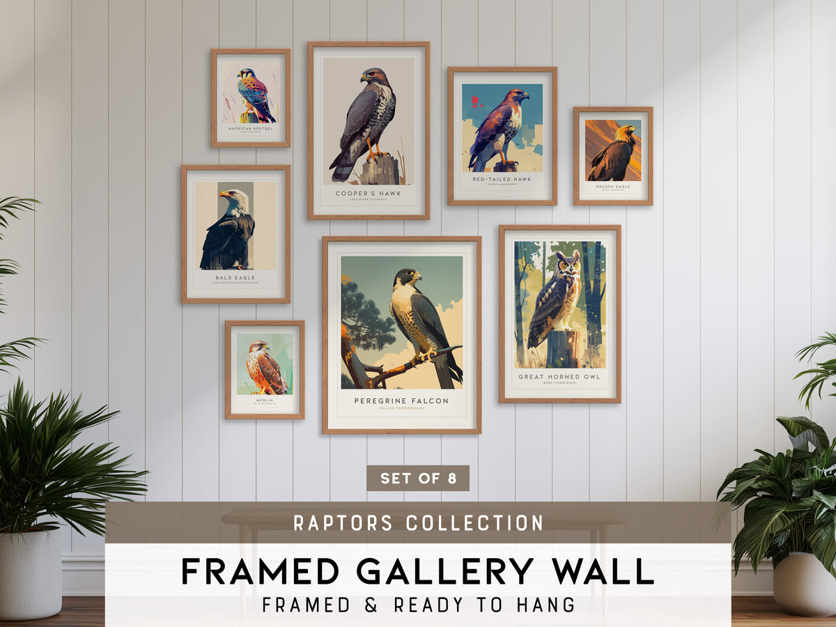 Birds of Prey - Raptors Gallery Wall | Bald Eagle | Set of 8 Framed Bird Prints